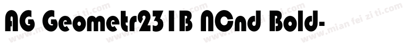 AG Geometr231B NCnd Bold字体转换